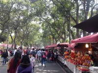 古坑綠色隧道<br/> 攝影：Lu