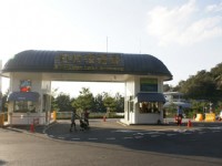 Photo:Eva隨手拍