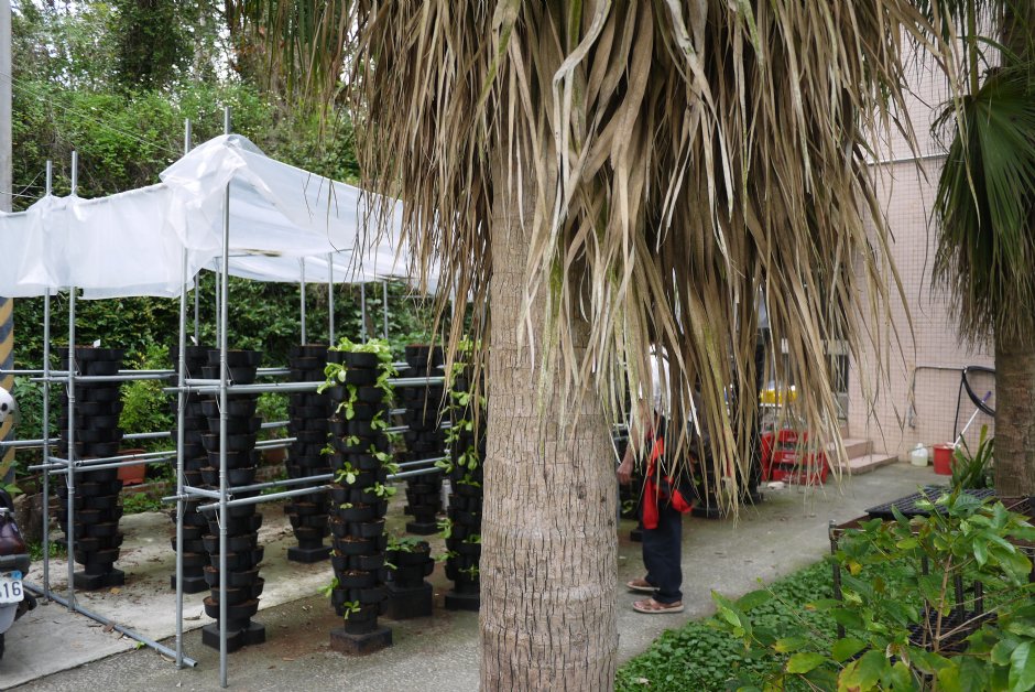新化植物園立體植栽 攝影：旅遊王攝影組