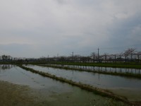 林初埤田园景观<br/> 摄影：旅遊王攝影組