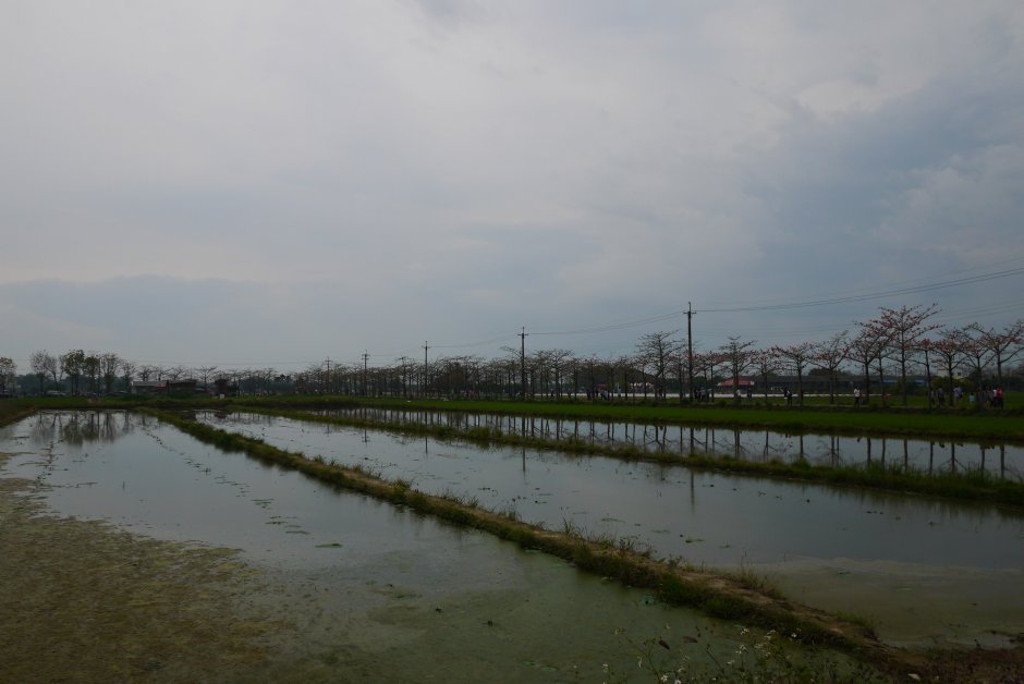 林初埤田园景观 摄影：旅遊王攝影組