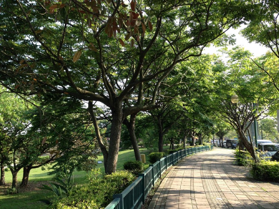 都会公园外围脚踏车及步道 摄影：Kate