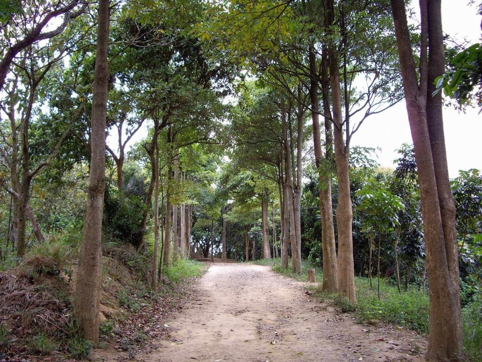 往三角點的步道 攝影：老山羊資訊網