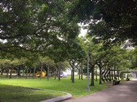 Photo:Eva隨手拍