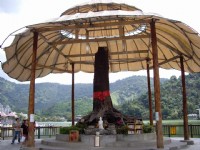 守护神<br/> 摄影：老山羊部落格
