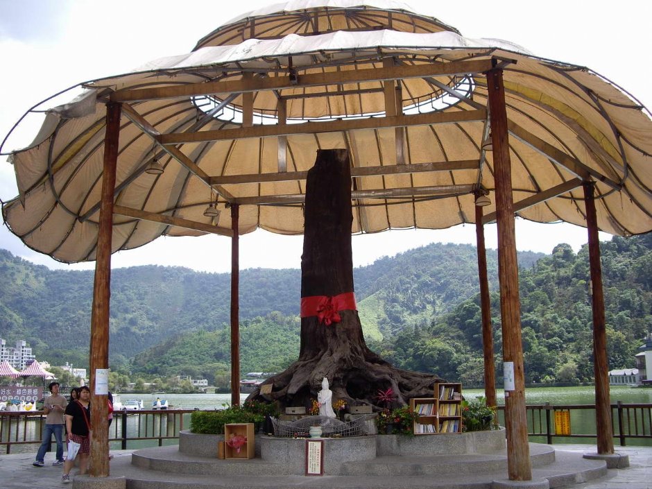 守护神 摄影：老山羊部落格