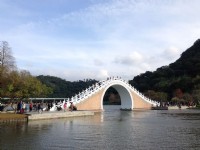 Photo:陳皮梅