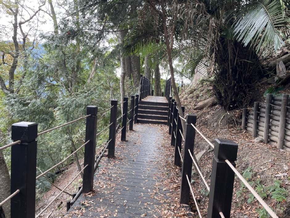 雪山坑環線步道 攝影：Eva隨手拍