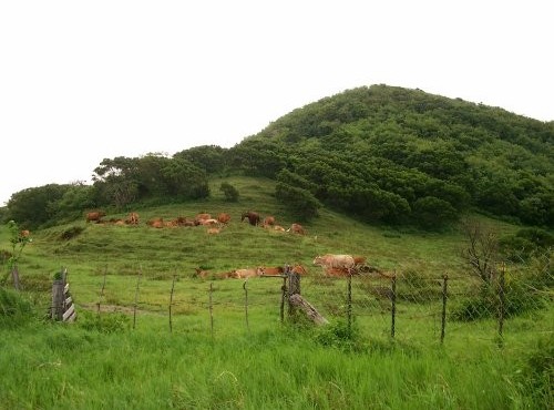 墾丁牧場-墾丁牧場遠景