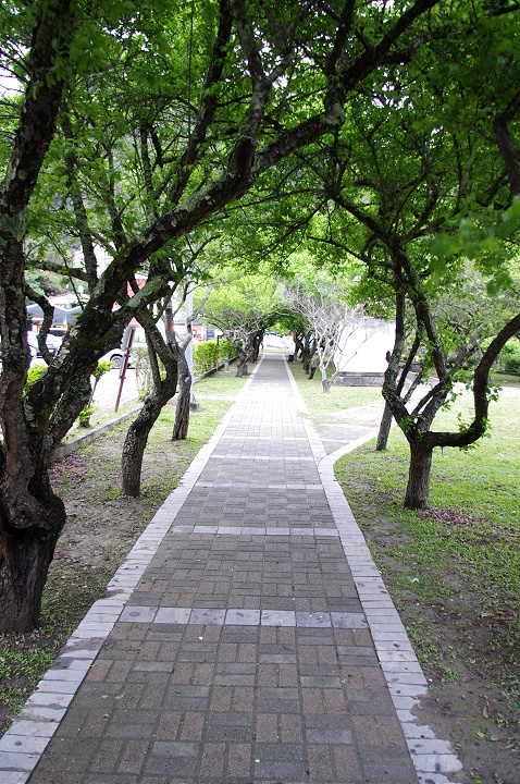 Photo:Eva隨手拍