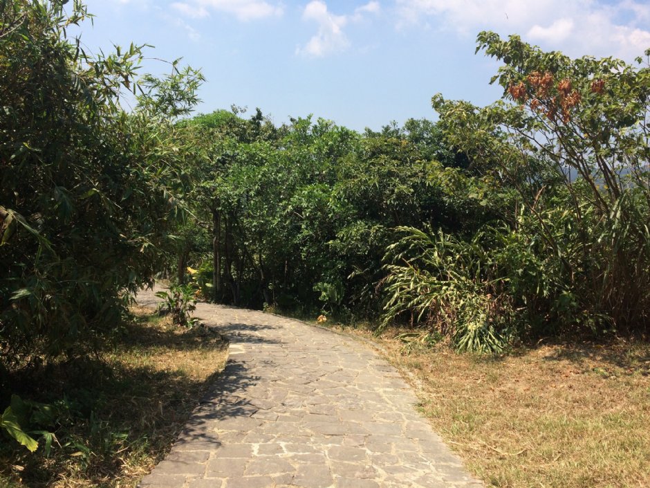 情人湖步道 摄影：Eva隨手拍