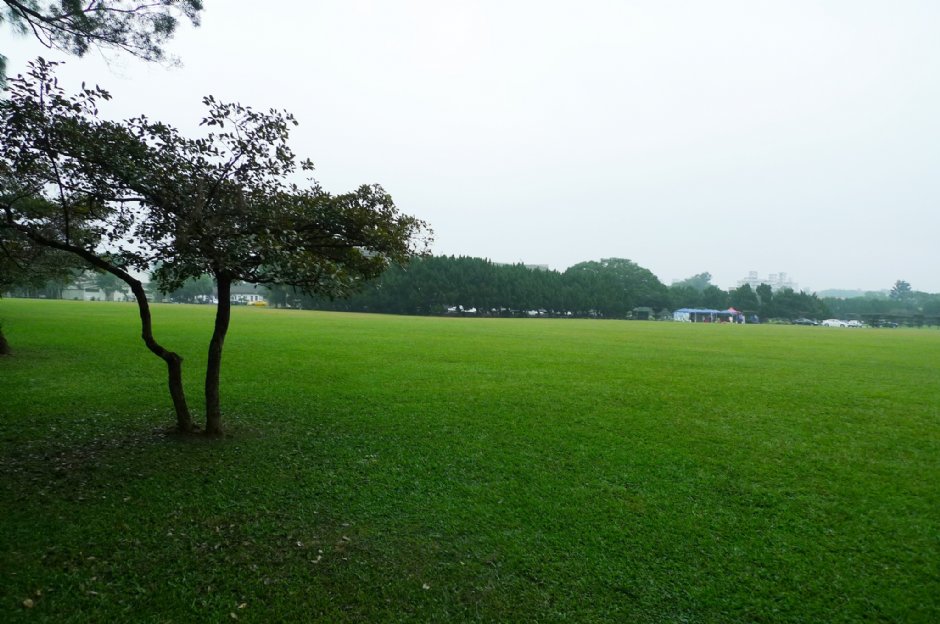 Photo:Eva隨手拍