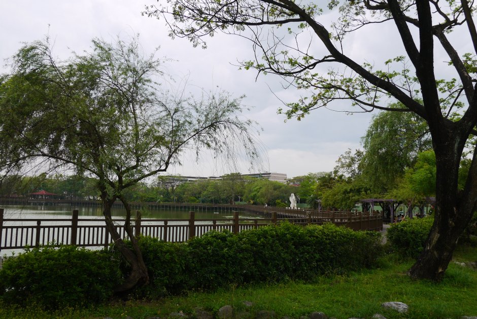 天鹅湖公园木栈道 摄影：旅遊王攝影組