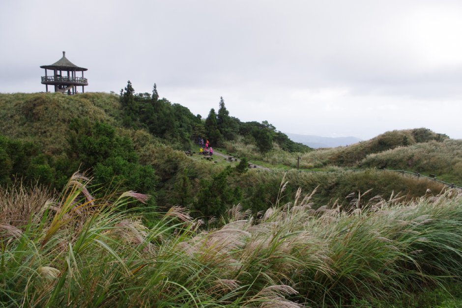 七星山东峰步道 摄影：Eva隨手拍