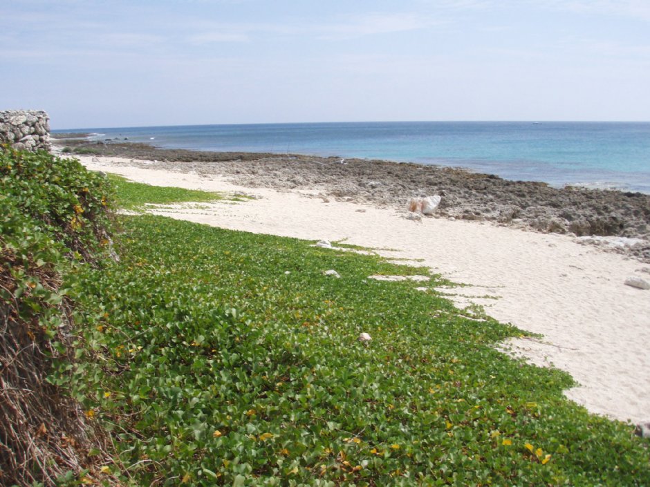 Photo:鄭瑄頤