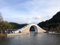 Photo:陳皮梅