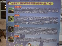 新化植物園螢火蟲介紹<br/> 攝影：旅遊王攝影組