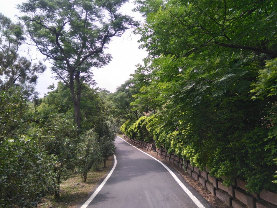 青青草原 攝影：Lu