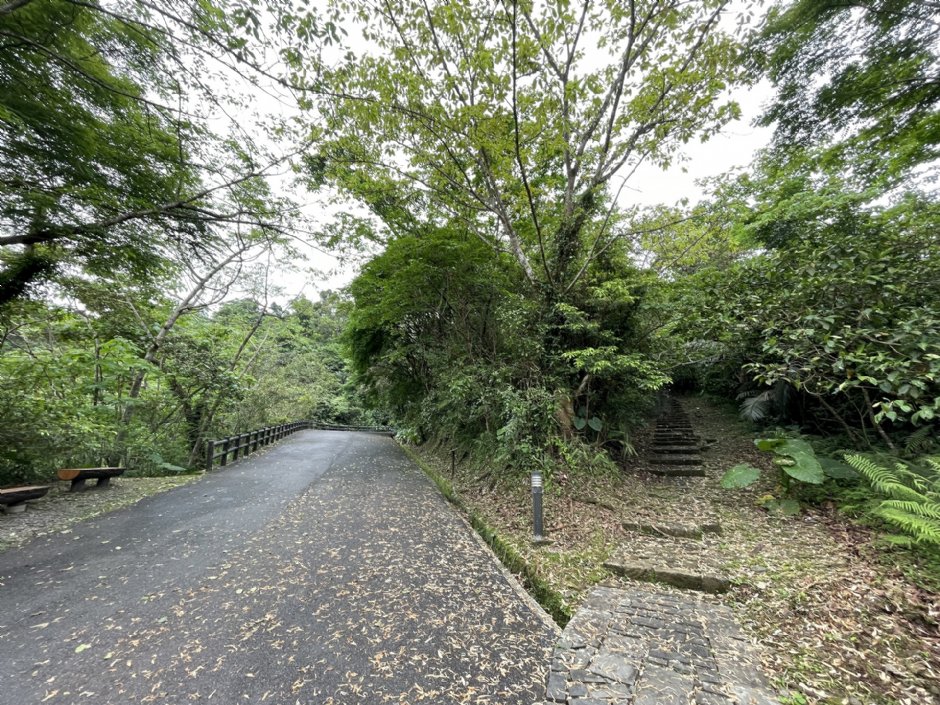 仁山植物园步道 摄影：Eva隨手拍