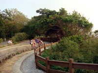 Photo:余燕鳳