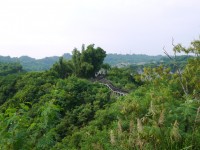 Photo:三井