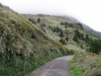 七星山东峰步道<br/> 摄影：Eva隨手拍