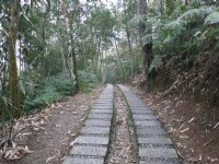 青龙山步道<br/> 摄影：旅遊王攝影組