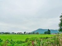 初英亲水生态公园<br/> 摄影：Eva隨手拍