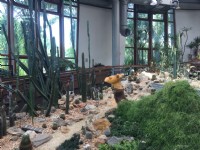 台北典藏植物园<br/> 摄影：Eva隨手拍