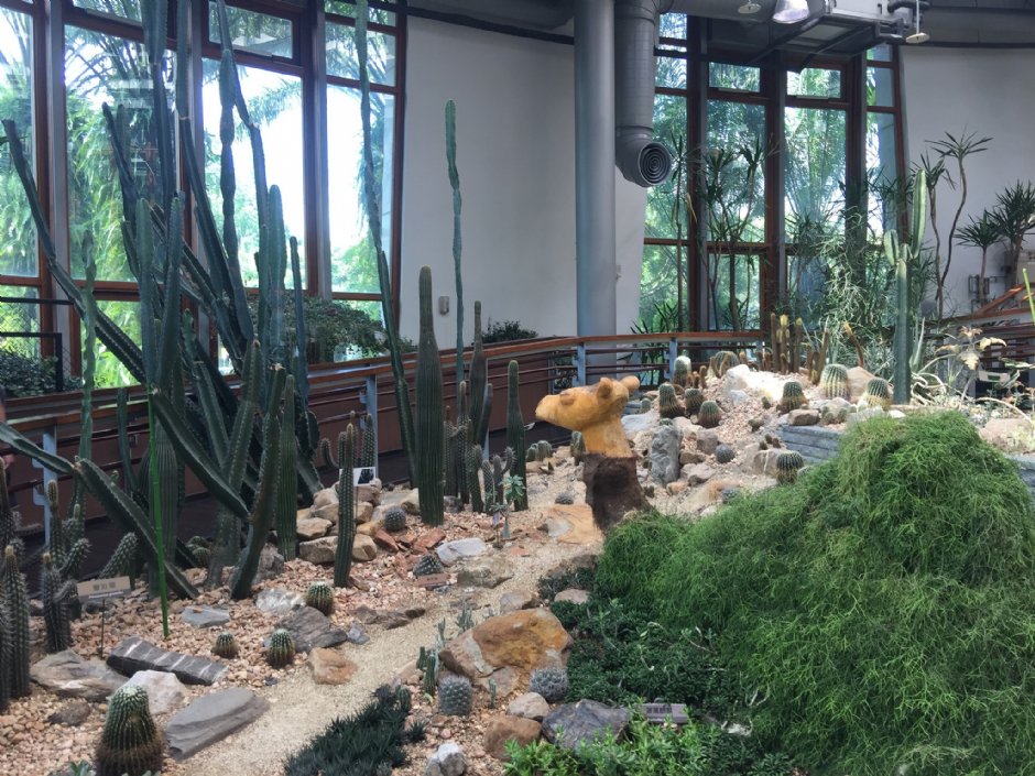 台北典藏植物园 摄影：Eva隨手拍