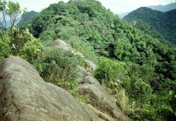 皇帝殿-駱駝峰