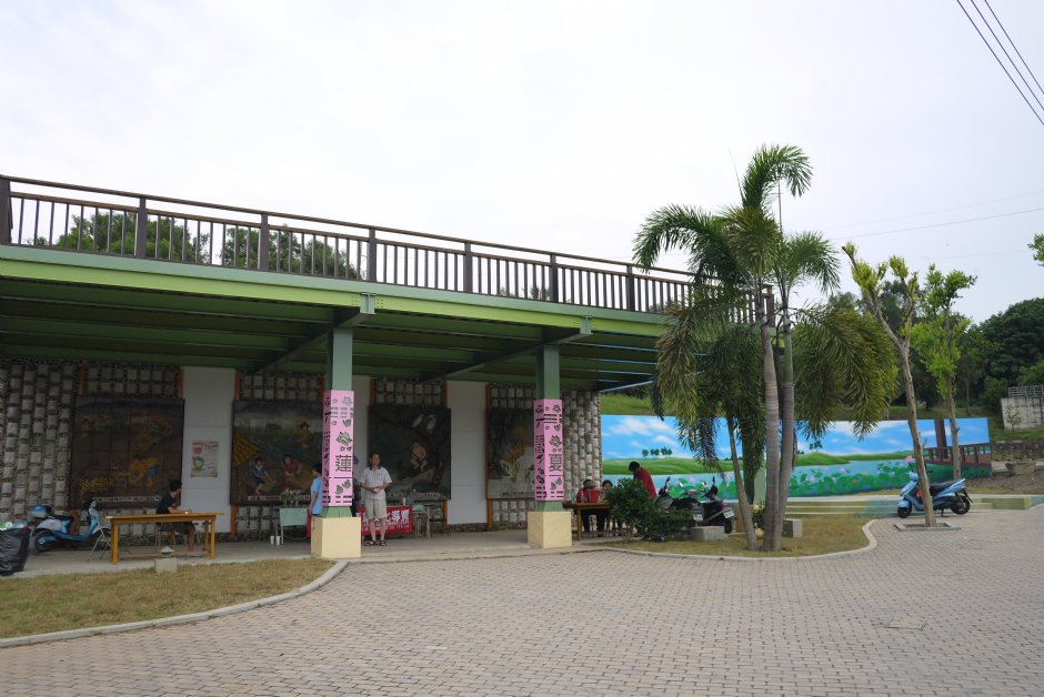 台南白河莲花公园 摄影：三井