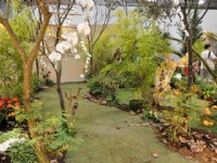 花博争艳馆-竞花艺术(特展与花卉竞赛)<br/> 摄影：amo