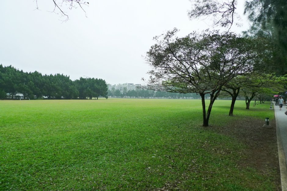Photo:Eva隨手拍