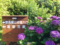 野马瞰山步道<br/> 摄影：Lu