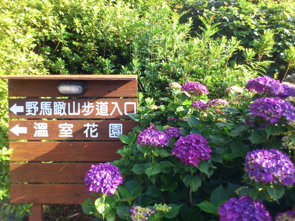 野马瞰山步道 摄影：Lu