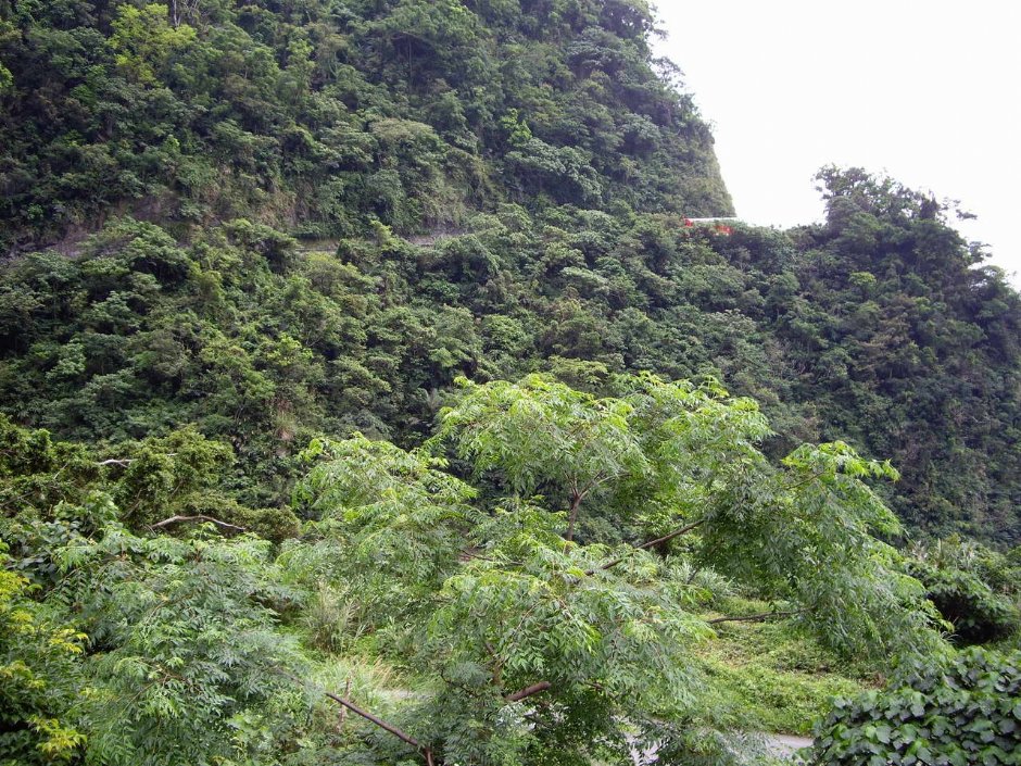 Photo:老山羊部落格