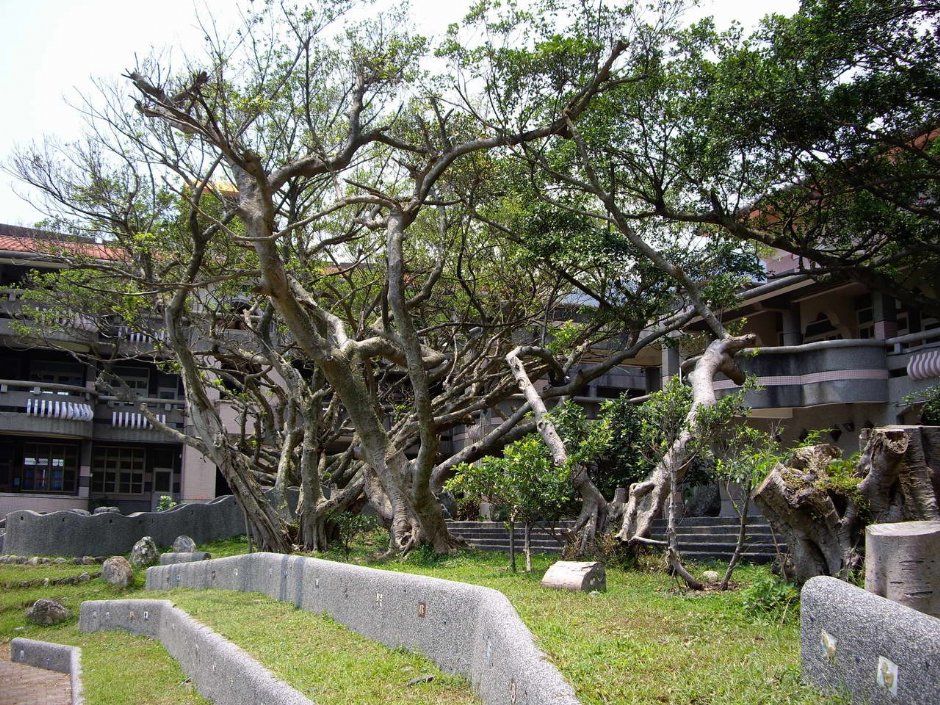 Photo:老山羊部落格