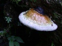 Photo:阿英的登山小站