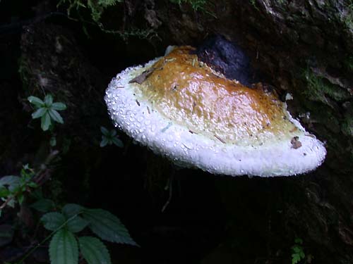 Photo:阿英的登山小站