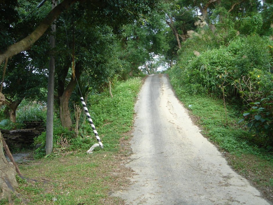 炮台山步道 摄影：余燕鳳