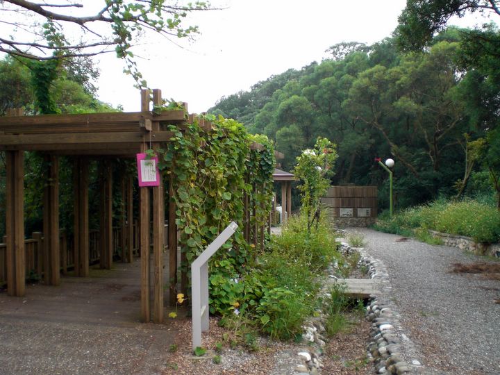 鲤鱼山登山口 摄影：kavin