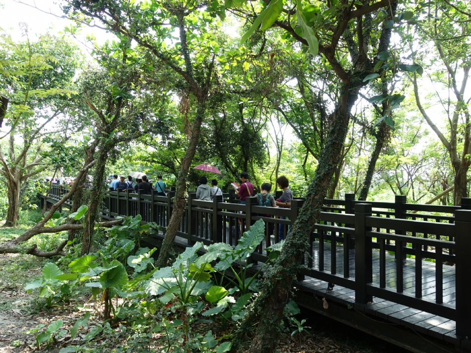 Photo:meiyin