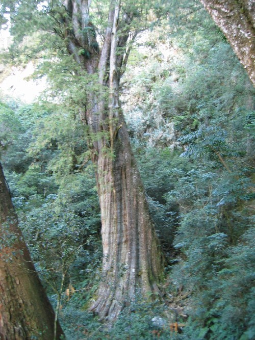 Photo:自助旅行家族