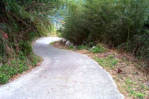 嘎拉贺部落的产业道路 摄影：阿華
