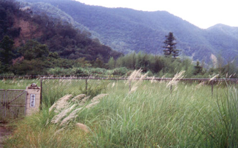曲冰遗址一景 摄影：南投縣政府