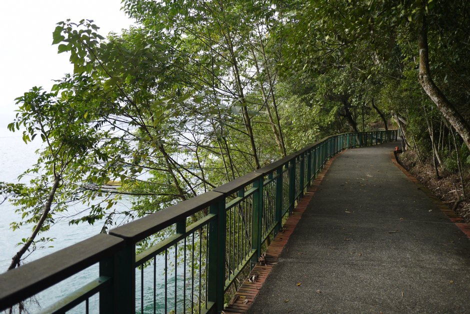 临湖步道 摄影：旅遊王攝影組
