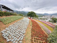 北投社三层崎公园大片花海被誉为台版富良野<br/> 摄影：Eva隨手拍