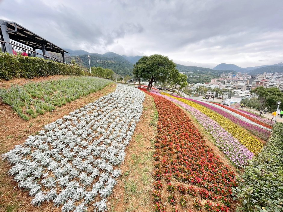 北投社三层崎公园大片花海被誉为台版富良野 摄影：Eva隨手拍
