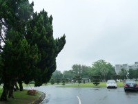 Photo:Eva隨手拍